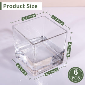 PINIWON thick-base square vase 5x5 for stable tabletop display.