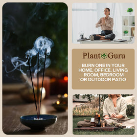 Plant Guru Citronella Exotic Incense Sticks, natural fragrance for refreshing spaces.