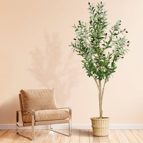 Plantsworld 6ft faux olive tree enhances living spaces with natural-looking stature.