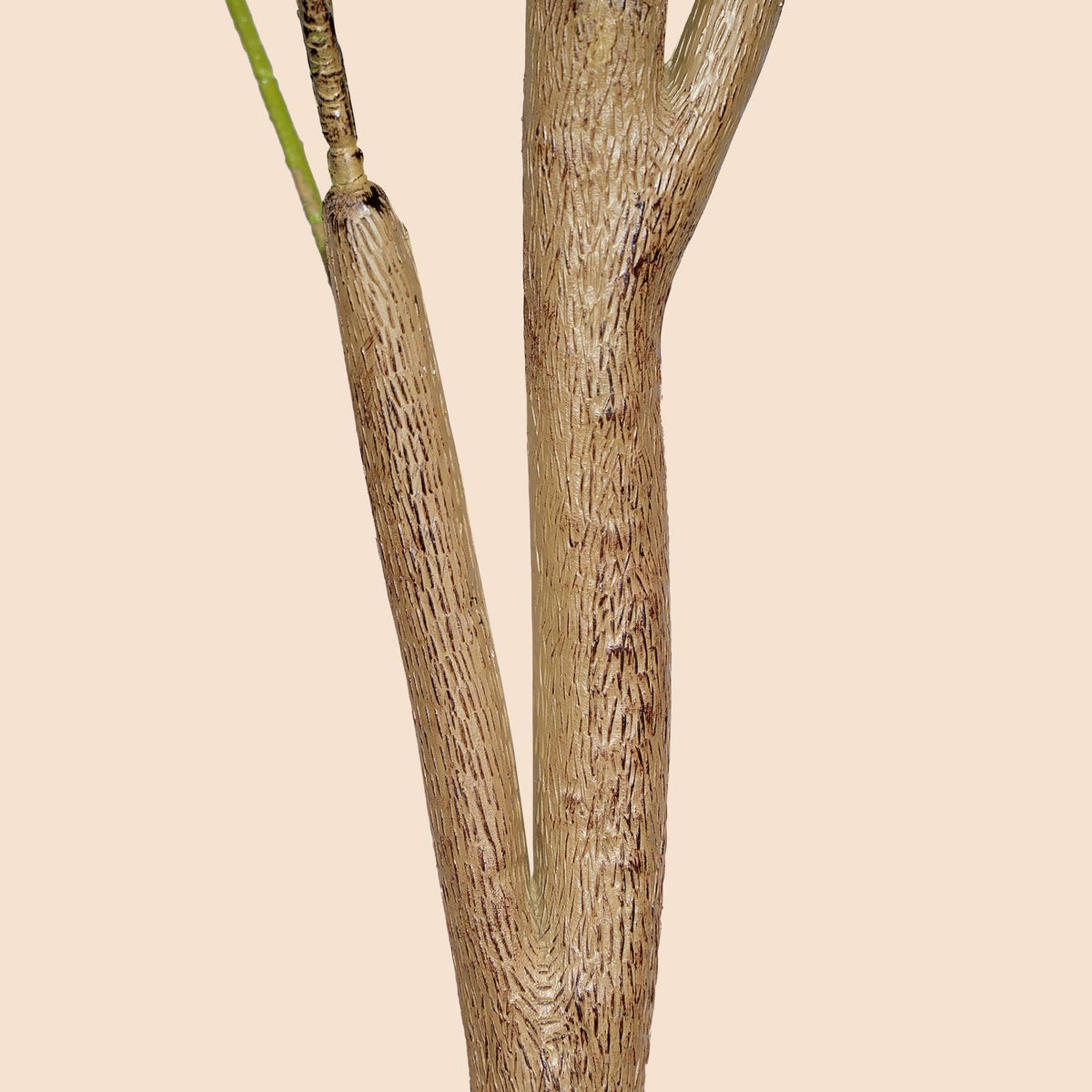 Plantsworld assembly-friendly design lets you adjust branches easily.