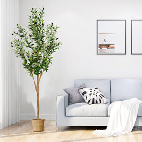 Plantsworld decorative olive tree fits entrances, living rooms, and lobbies.