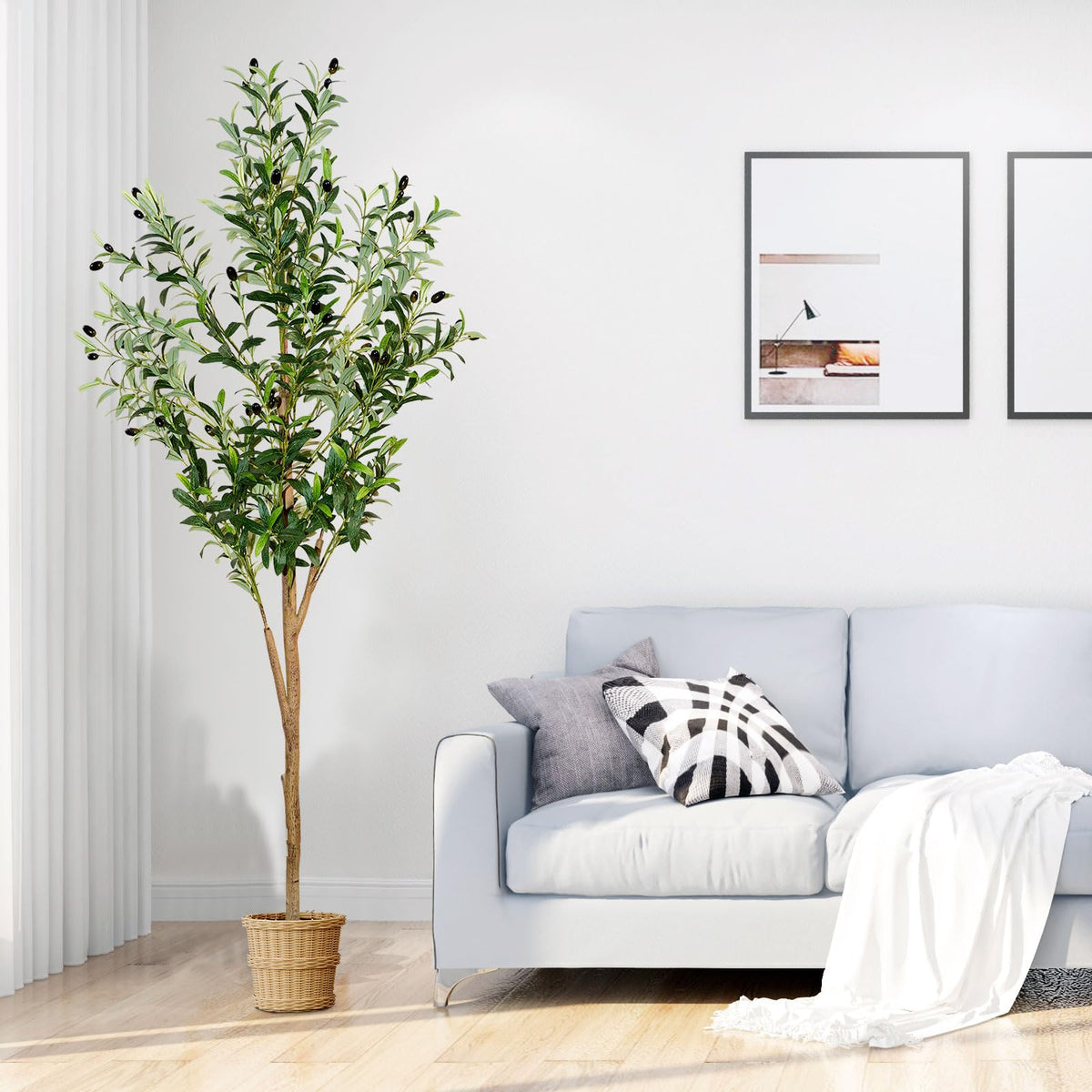 Plantsworld decorative olive tree fits entrances, living rooms, and lobbies.