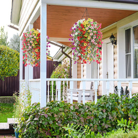Playieer six-bundle arrangement showcases varied colors for outdoor styling.