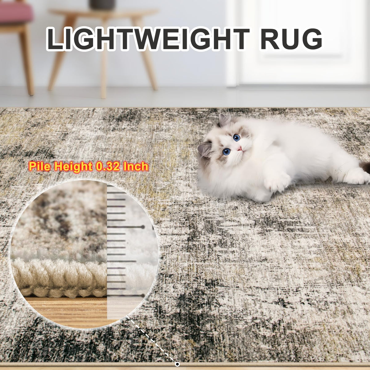 PLHXFR 8x10 area rug dining room scene supports easy under-table cleaning