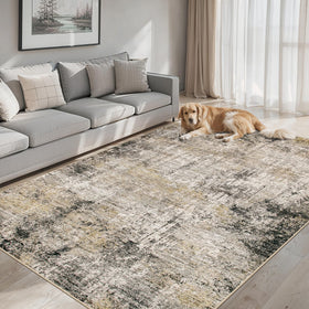PLHXFR 8x10 rug machine washable for easy cleaning