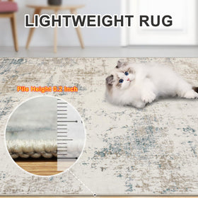 PLHXFR 8x10 rug suitable for dining and seating areas