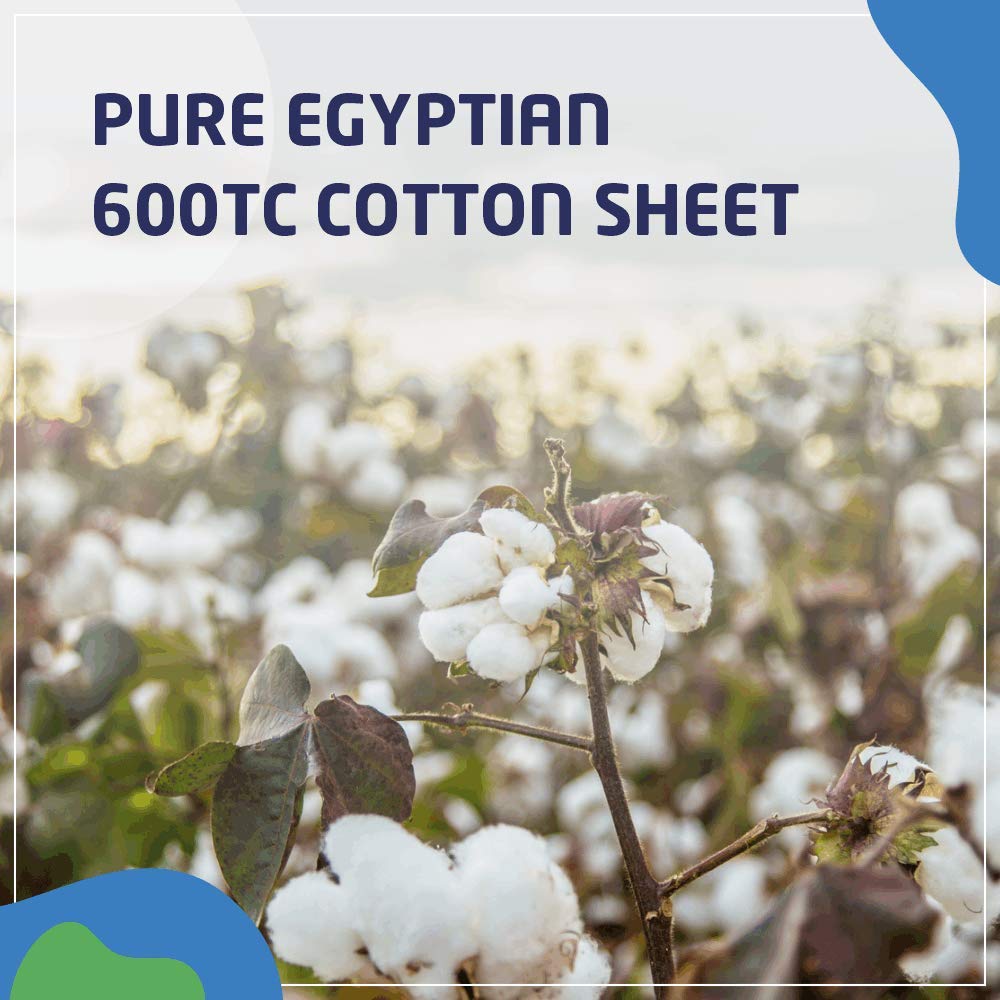 PLUSHY COMFORT 100 percent Egyptian cotton weave with premium softness