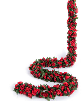 PONKING rose vine close-up showing 3.8 cm rose heads