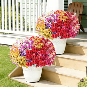 Powbrace walkway and garden setup with lush, maintenance-free blooms