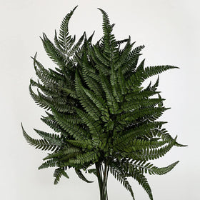 Prefleur preserved ferns branch closeup in dark green for natural texture.