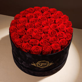 Prifroti handcrafted rose arrangement in black velvet box displays timeless elegance.
