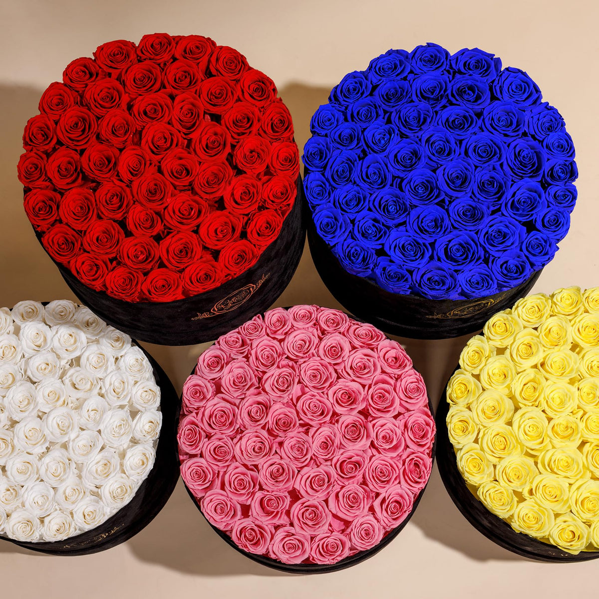 Prifroti long-lasting rose offers a year-long keepsake with no upkeep.