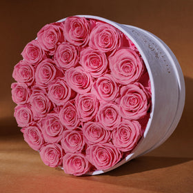 Prifroti luxury velvet box close-up highlights premium presentation and artisanal craftsmanship.