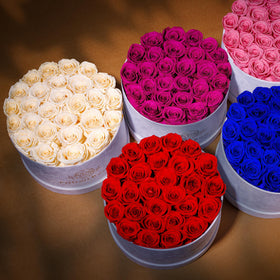 Prifroti pink roses add soft romance for birthdays.