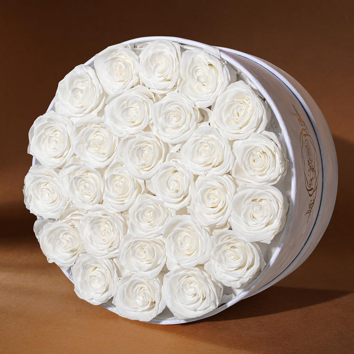 Prifroti red roses on display, ideal for a romantic gift.