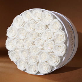 Prifroti red roses on display, ideal for a romantic gift.