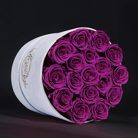 Prifroti red roses selection, vibrant romantic gesture.