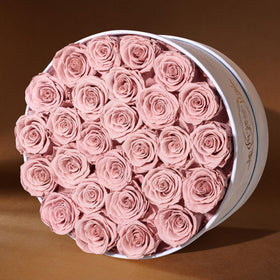Prifroti red roses offer timeless romance and celebrations.