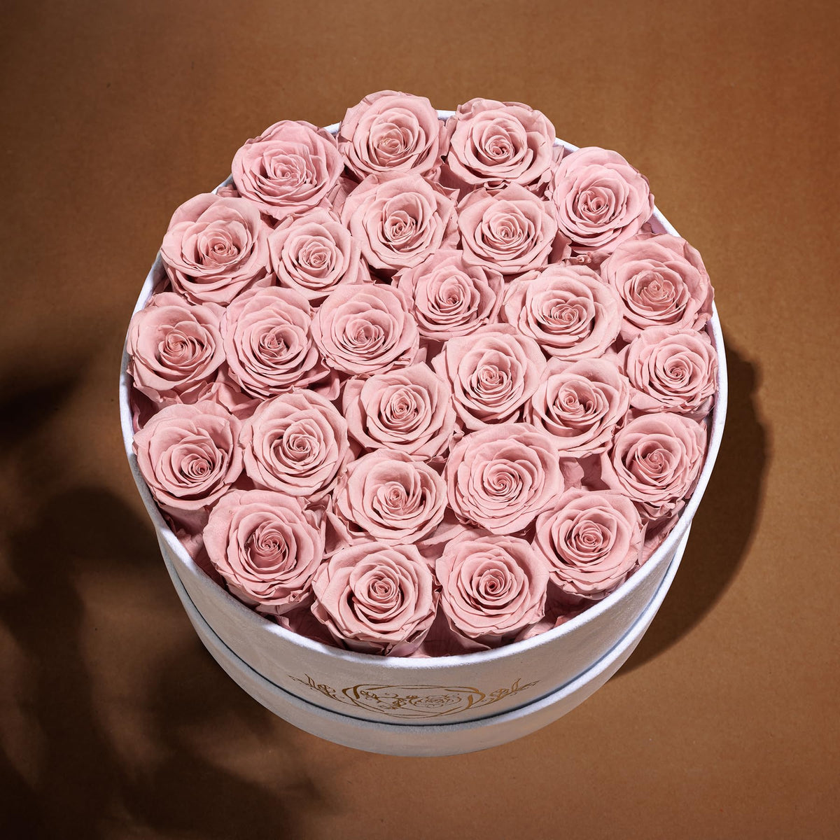 Prifroti rose close-up reveals lifelike texture and vibrant color.