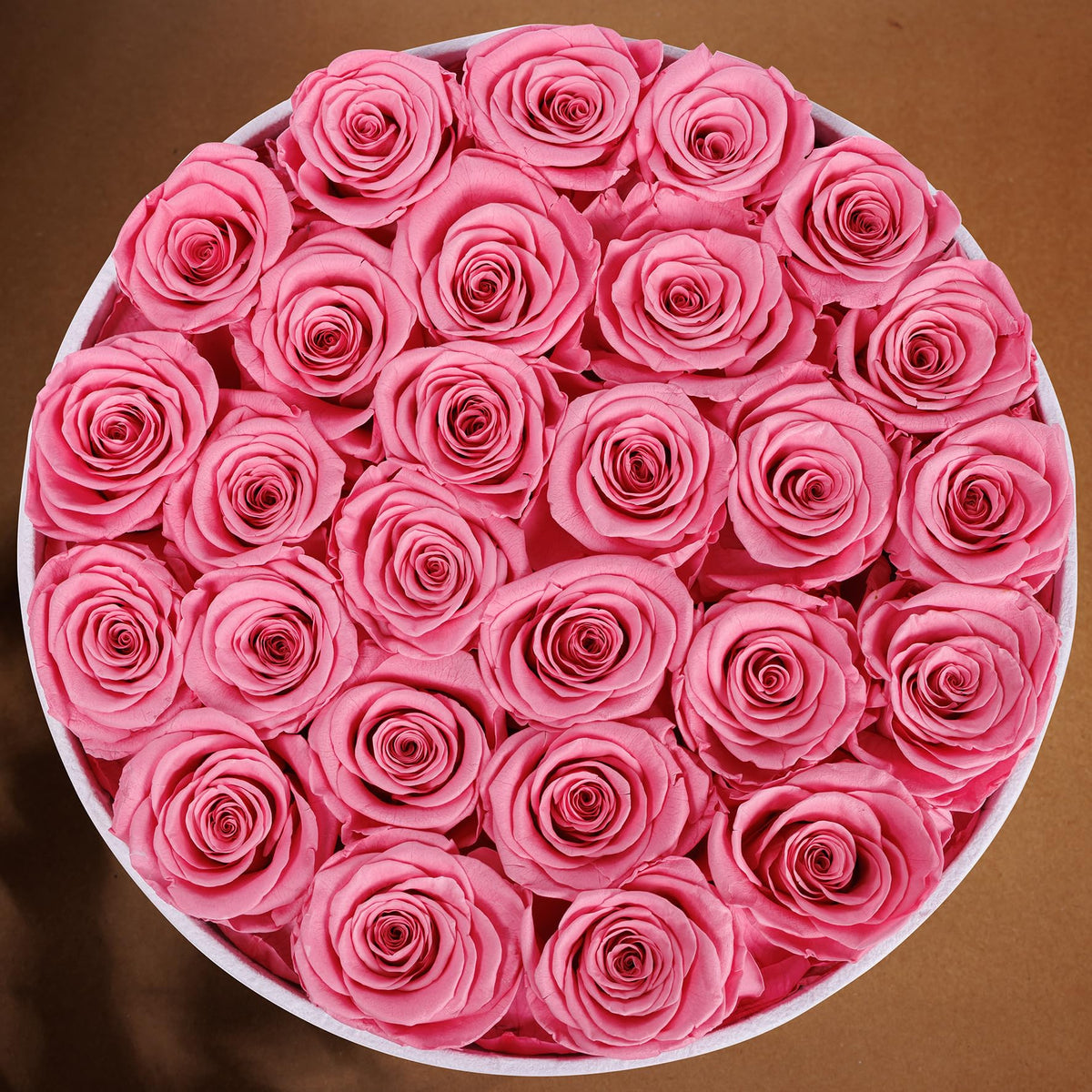 Prifroti white preserved rose embodies timeless appreciation for Mother's Day.