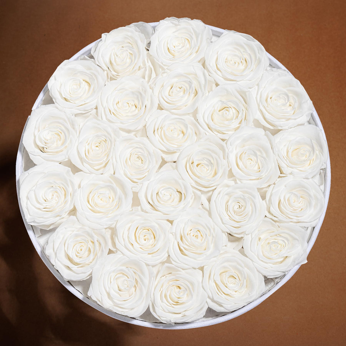Prifroti white preserved roses in velvet box, timeless elegance.