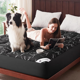 Primesoft moisture control design helps maintain a dry sleeping surface.