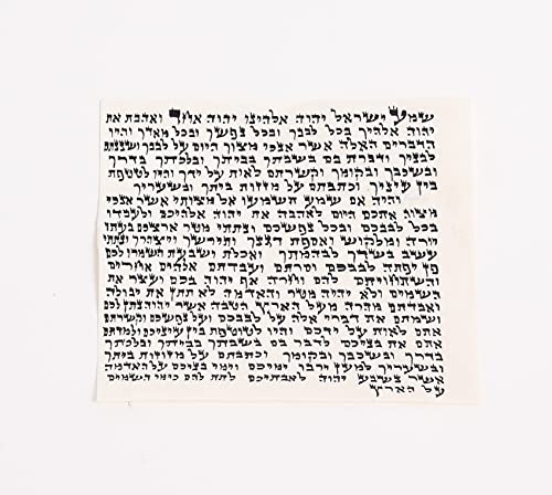 PROSHOFAR mezuzah parchment from Israel high-quality klaf for home entrances