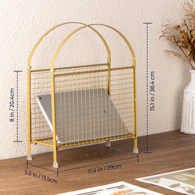 PUERSI multi functional storage for magazines books vinyl and letters in one place