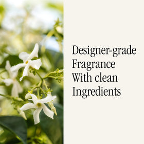 Pura Antica Farmacista collaboration room fragrance collection visual guidance