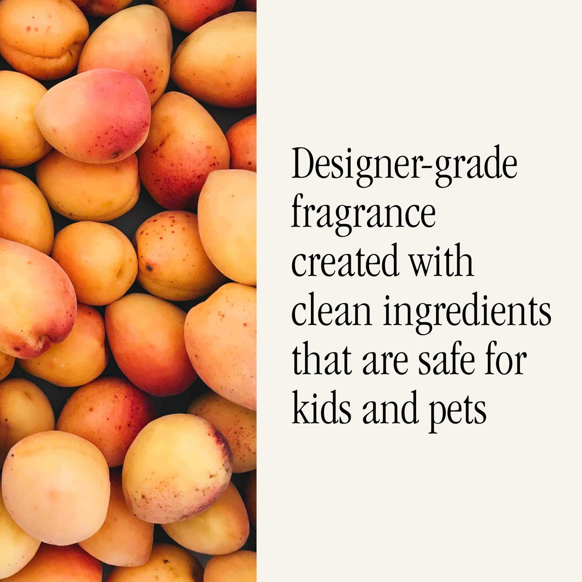 Notes of brandy, apricot, spices, and sugared vanilla create coziness.