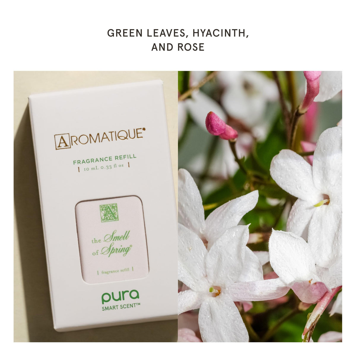 Pura Aromatique room diffuser setup showing placement and scent diffusion