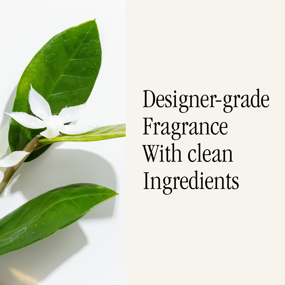 Pura & Brooklyn long-lasting scent visual for even room diffusion