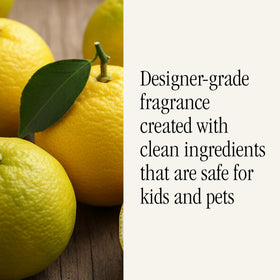 Pura fragrance notes showing peach blossom and fruit blend for uplifting spaces
