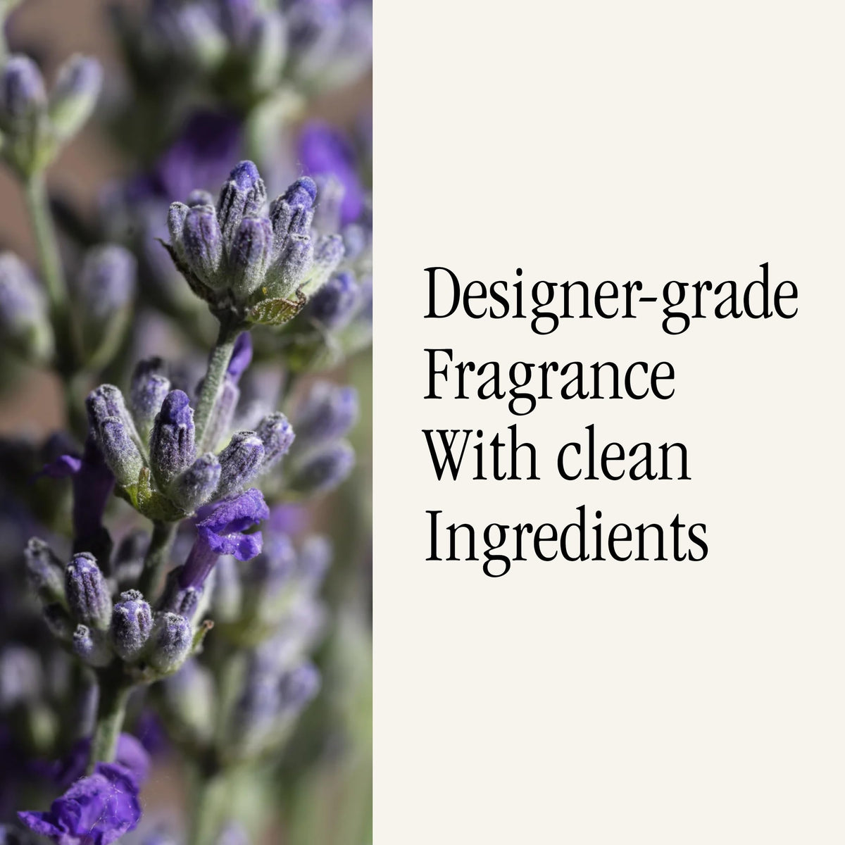 Health-conscious fragrance free of harsh chemicals supports a calm ambiance.