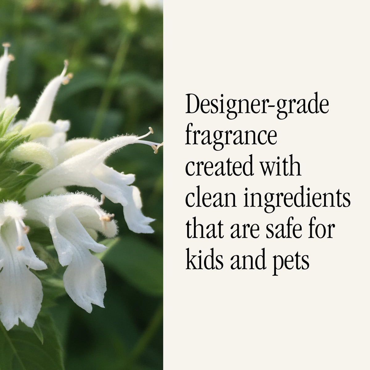Health-conscious fragrance refill without harsh chemicals for safer homes