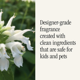 Health-conscious fragrance refill without harsh chemicals for safer homes