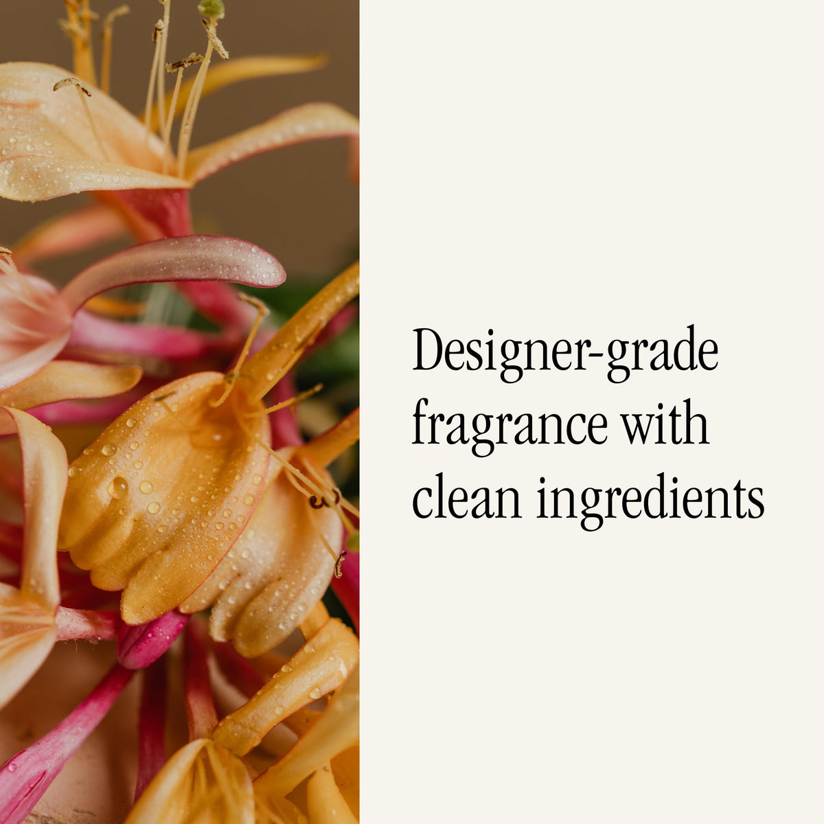 Pura fragrance without harsh chemicals promotes a healthier home environment