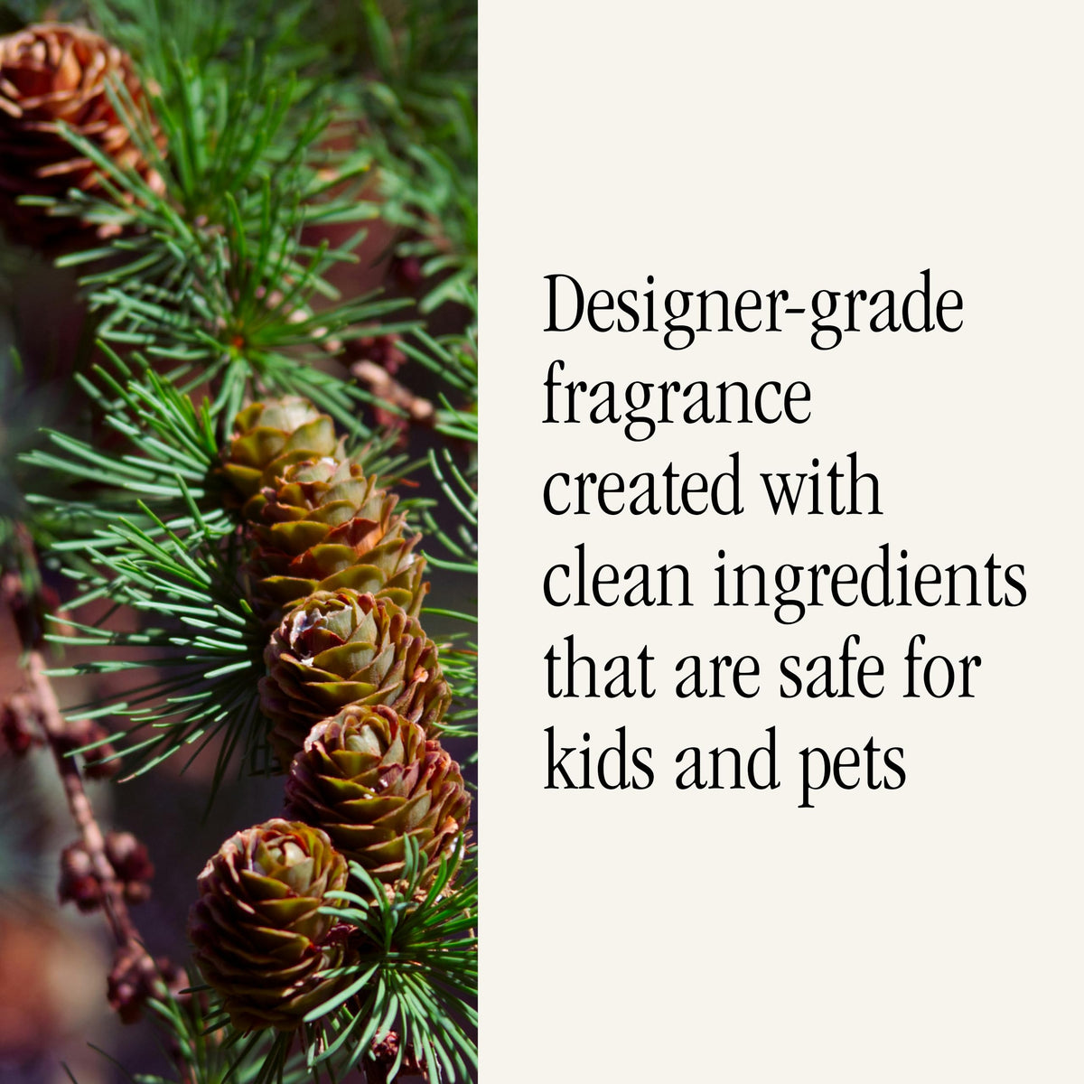 Pura health-conscious note emphasizes a safer, chemical-free home fragrance