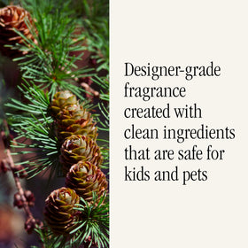 Pura health-conscious note emphasizes a safer, chemical-free home fragrance