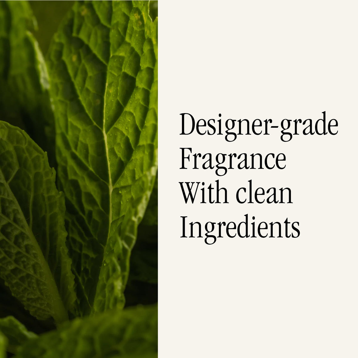 Pura long-lasting fragrance experience for home with ongoing, refined aroma.