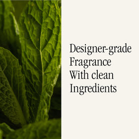 Pura long-lasting fragrance experience for home with ongoing, refined aroma.