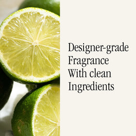 Pura Pacific Aqua health-conscious fragrance avoids harsh chemicals for safe homes