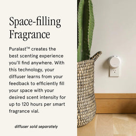 Smart diffuser in use with Pura Hawaii Rain refill enhancing home ambiance.