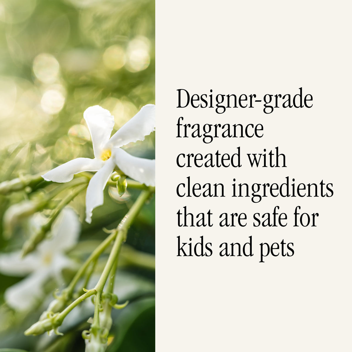 Pura Studio McGee two-pack refills simplify ongoing scent routines
