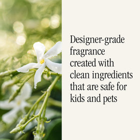 Pura Studio McGee two-pack refills simplify ongoing scent routines