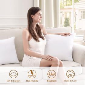 Puredown decorative pillows on sofa showcasing versatile styling.