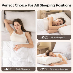 puredown hotel collection pillow set delivers hotel-grade comfort at home
