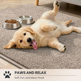 Purrugs mat absorbs moisture from muddy paws after rain