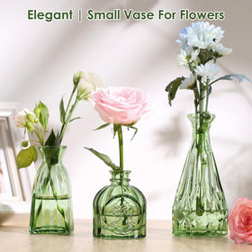 Purvonnie single-stem vase set highlights individual blooms with style.