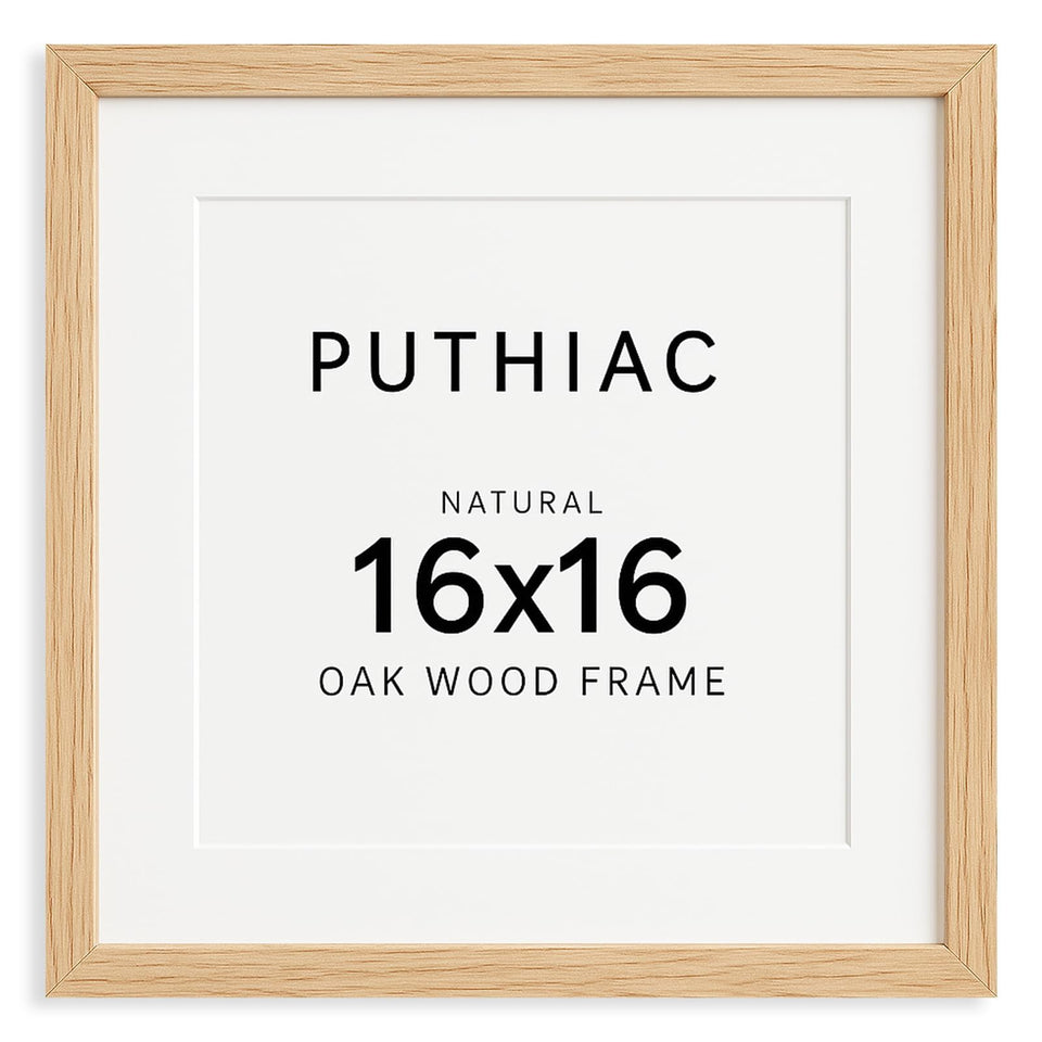 puthiac 16x16 solid oak frame with plexi front protects photos and enhances display